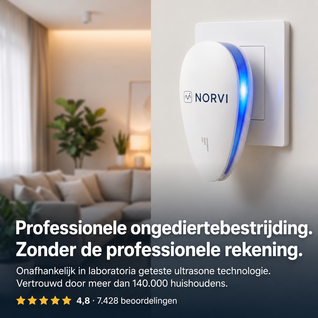 Maak binnen 7 dagen een einde aan bedwantsen en ongedierte